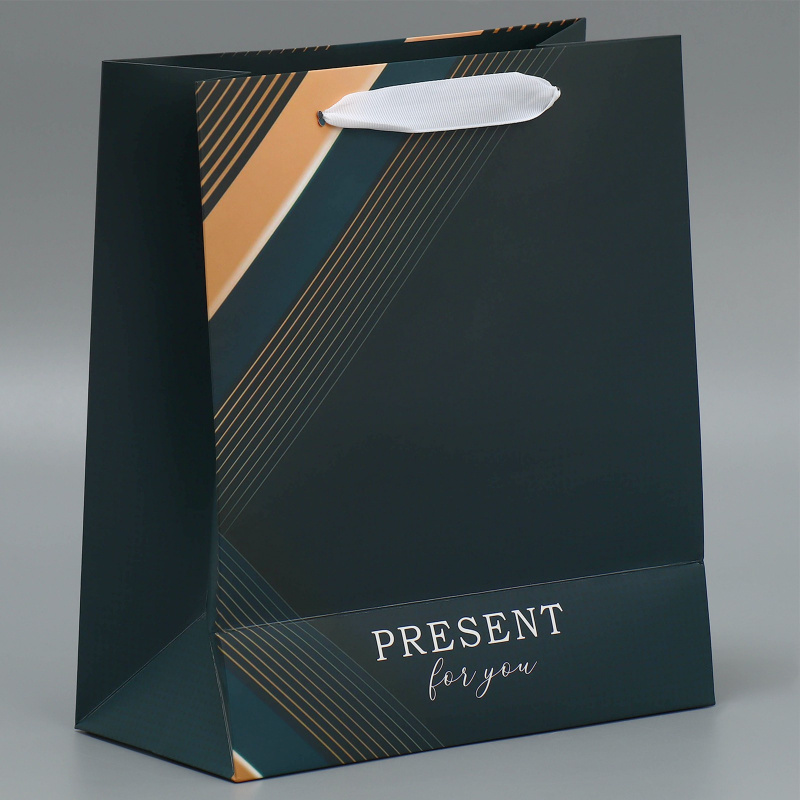 Пакет подарочный "Present for you", 21*27 см