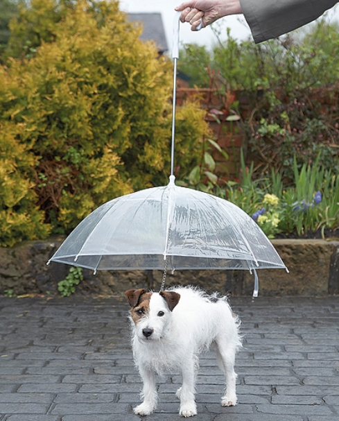 Зонт для собак с поводком