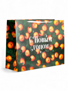 Пакет подарочный "Волшебный праздник", 46*61 см